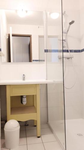 une salle de bain avec un lavabo et une douche dans l'établissement Port du Crouesty Cap'Océan - maeva Home - Appartement 2 Pièces 4 Personnes - Sélection MAE-1424, à Arzon