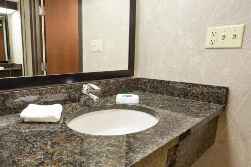 a bathroom counter with a sink and a mirror at Drury Inn & Suites Greensboro in Greensboro