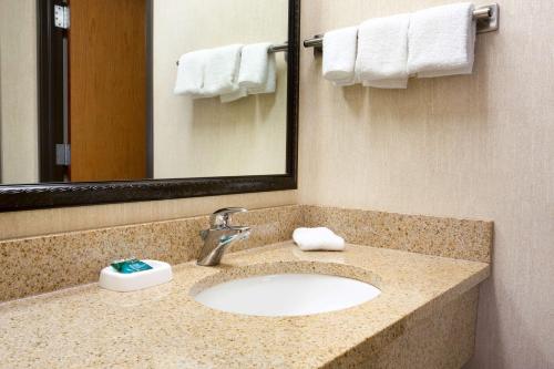 Koupelna v ubytování Drury Inn & Suites McAllen
