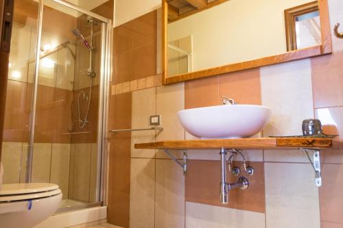 La salle de bains est pourvue d'un lavabo et d'une douche. dans l'établissement Parma Country Room, à Montechiarugolo