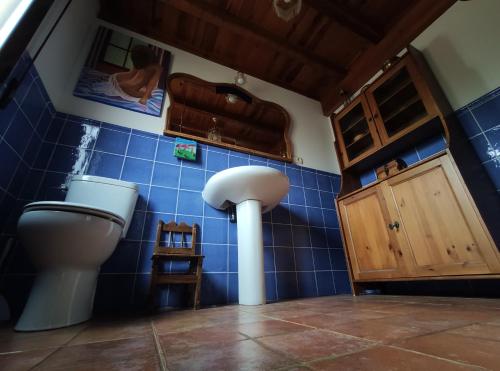 a bathroom with a toilet and a sink and blue tiles at Casa Maite in Ríoseco de Soria