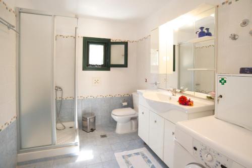W łazience znajduje się toaleta, umywalka i prysznic. w obiekcie Avvisania Villa w mieście Agia Efimia