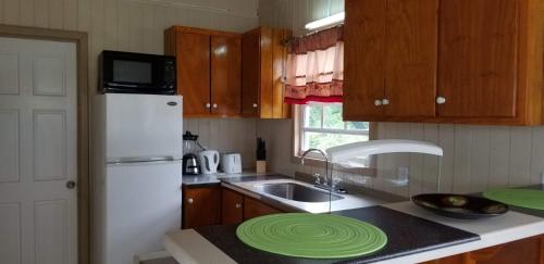 La cuisine est équipée d'un évier et d'un réfrigérateur blanc. dans l'établissement CNP Apartments, à Saint Johnʼs