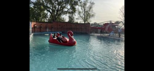 Bahāsi的住宿－Captain’s Sky ( Special Resort)，一群狗在游泳池里用红色天鹅骑着