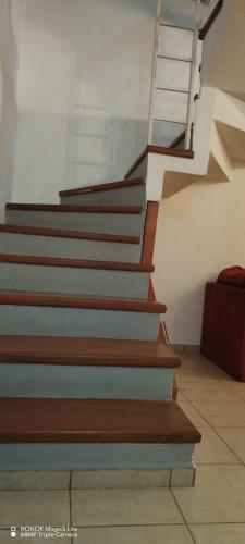 a set of stairs in a room with a stair case at Casa Gerbera Queretaro in Querétaro