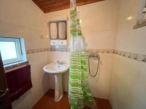 bagno con lavandino e doccia di Cosy Home Near Serra da Estrela a Gouveia