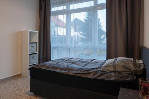 uma cama num quarto com uma grande janela em Exklusive Stadtwohnung im EG em Bad Lippspringe