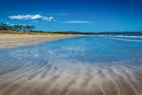 صورة لـ Peaceful Pet Friendly 1 bedroom cottage on 1 acre في Sandford