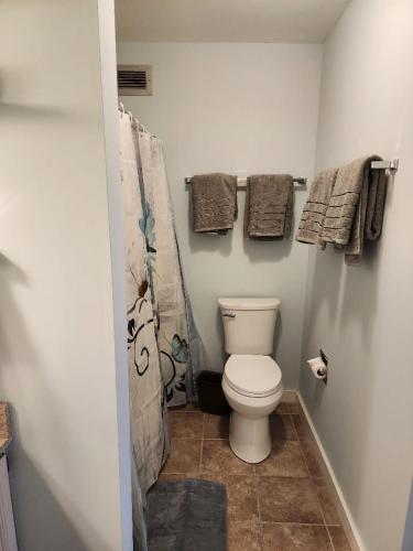 Baño con aseo y toallas en la pared en WOW-New Ski OnOff Suite By Pool Sleeps 4 Jiminy Pk, en Hancock