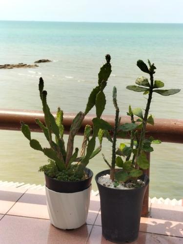 two potted plants sitting on a balcony overlooking the ocean at Seafront SunsetSpa in Port Dickson