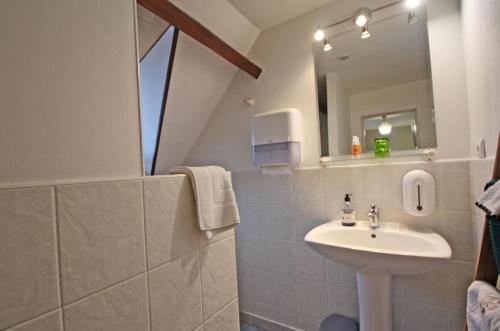 y baño con lavabo y espejo. en La musardiere de louisiane, en Saint-Brice-sur-Vienne