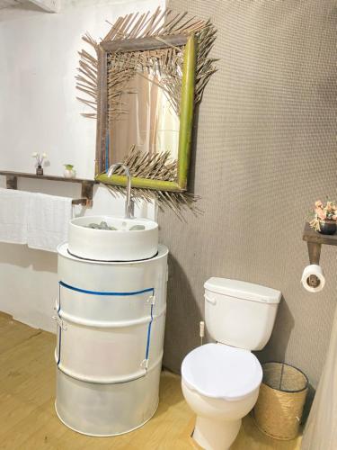 uma casa de banho com um WC, um lavatório e um espelho. em Villa Alpina em San Felipe de Puerto Plata