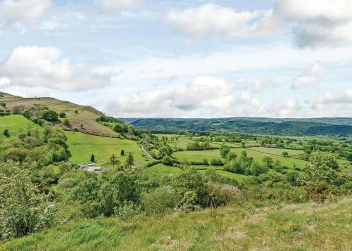 a view of a green field with trees on a hill at Slate House Lodges in Llandinam