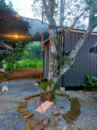 a tree with a swing in a yard at Tanah Merah Glamping Village (TMGV) in Kuala Kangsar
