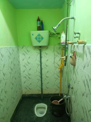 a green bathroom with a toilet and a sink at Saffira Homestay Near Universiti Malaya Education Centre -UMEC in Bachok