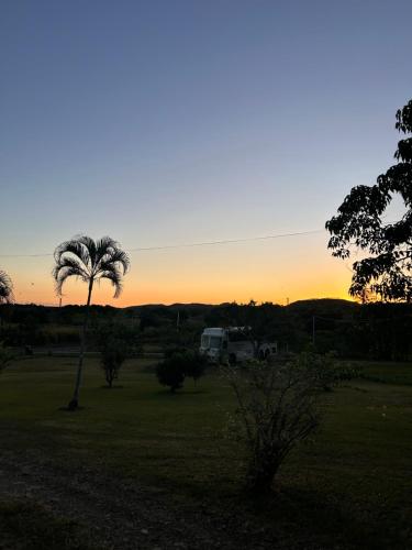 een palmboom en een camper in een veld bij zonsondergang bij Le Big Bus 