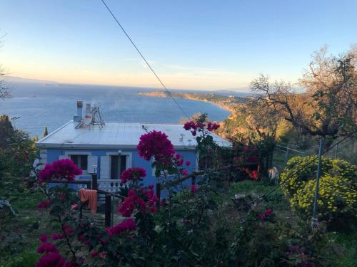 a blue house on a hill with pink flowers at Villa Bettina 1st floor in Afionas