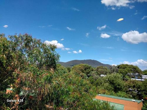 a view of trees and mountains with a blue sky at Lux 2 Bed 2 Bath Secure Parking Apartment in the Heart of Dickson, Canberra in Canberra