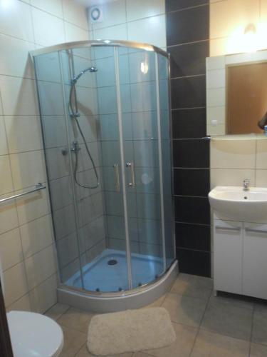 um chuveiro com uma porta de vidro na casa de banho em Pokoje Gościnne LaMa Gołuchów em Gołuchów