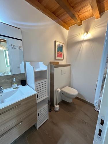 een badkamer met toilet en wastafel bij Chez Sam et L'As du Forum, Centre ville in Arles
