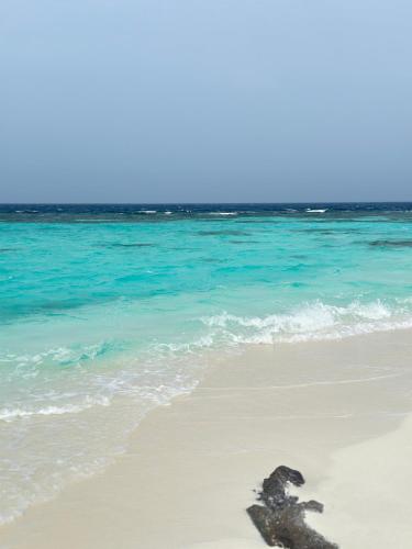 a rock on a beach with the ocean at Hudhuvelimaldives in Omadhoo