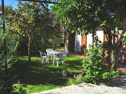 阿夏諾的住宿－Chic Farmhouse in Asciano Italy with Swimming Pool，院子里的桌子和椅子,草地上有一只猫
