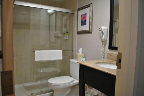 a bathroom with a toilet and a shower and a sink at Best Western Owego Inn in Owego