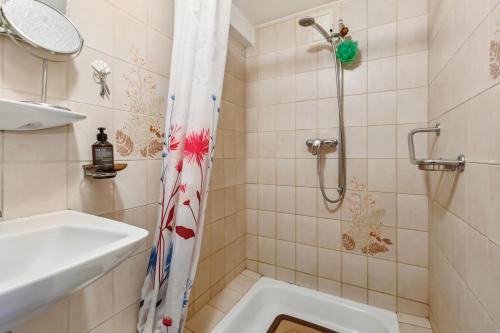 La salle de bains est pourvue d'une douche et d'un lavabo. dans l'établissement Chalet spacieux et pittoresque, à Leytron