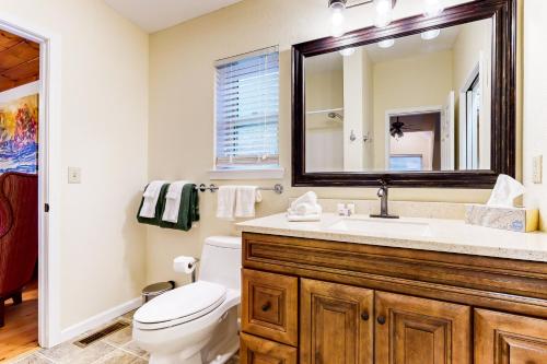 a bathroom with a toilet and a sink and a mirror at Up on Tanner Trail in Waynesville