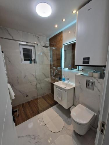 a bathroom with a shower and a toilet and a sink at Apartment Roosevelt in Belgrade