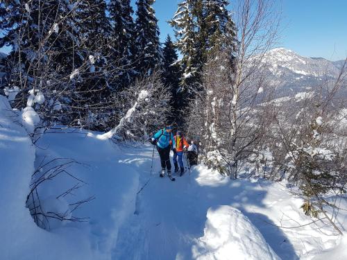 a group of people cross country skiing in the snow at Appartement am Hauser Kaibling in Haus im Ennstal
