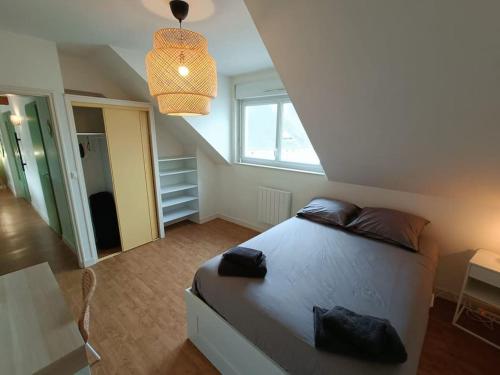 sypialnia z łóżkiem i dużym oknem w obiekcie Le Cactus - Gare w mieście Angers