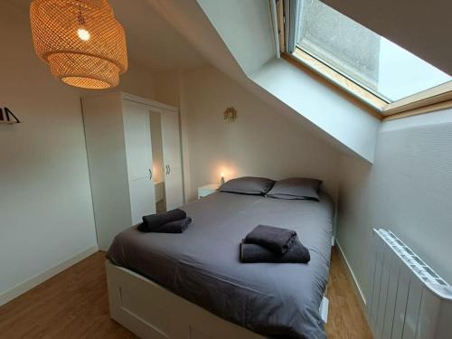 Photo de la galerie de l'établissement Le Cactus - Gare, à Angers