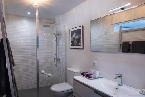 ein Bad mit einer Dusche, einem WC und einem Waschbecken in der Unterkunft Luxury Vacation Villa 15 in Saint Barthelemy
