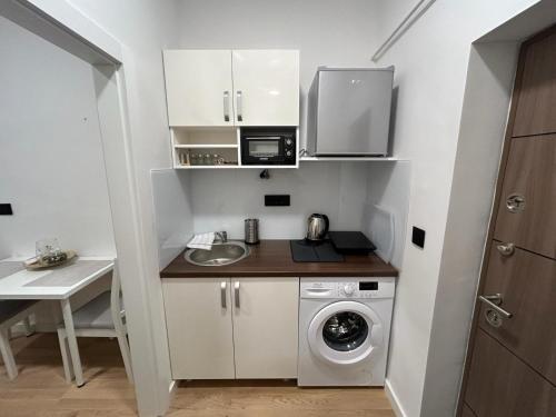 a small kitchen with a sink and a washing machine at Nest in Sajmište