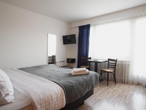 a bedroom with a bed and a desk and a window at Primadom Aparthotel in Geneva