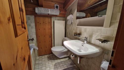 a bathroom with a toilet and a sink at Chesa Bellaval, Haus la Vuolp 2-Zimmer-Dachwohung in Silvaplana