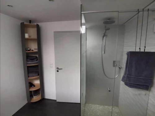 a bathroom with a shower with a blue towel at Komfortables Zimmer in ruhiger Wohnlage, inkl. Tax in Dornbirn