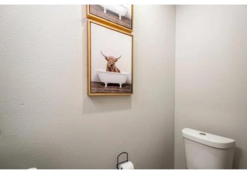 a bathroom with a picture of a dog in a bath tub at Spacious 3 Bed House near MD Anderson with Free Parking & Wi-Fi in Houston