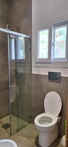 ein Bad mit einem WC und einer Glasdusche in der Unterkunft Relax Villas Kiwengwa in Kiwengwa