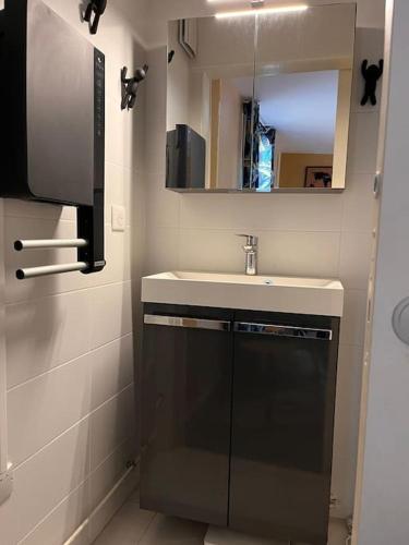 une petite salle de bain avec un lavabo et un miroir dans l'établissement Le cozy des tuilières, 2 ch, à Limoges