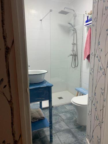 AllozaにあるTorre Julia Allozaのバスルーム(洗面台、トイレ、シャワー付)