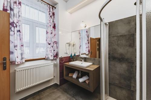 a bathroom with a sink and a shower at Grand Tábor in Tábor