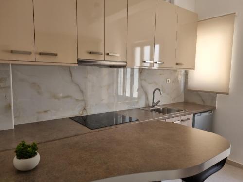 Dapur atau dapur kecil di Chrysanthes No3