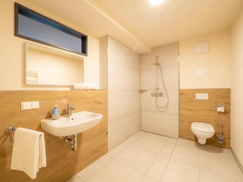 a bathroom with a sink and a toilet at Domizil am Gohrisch in Kurort Gohrisch