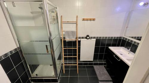 uma pequena casa de banho com um chuveiro e um lavatório. em Appartement 3 pièces proche du centre em Estrasburgo