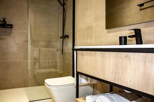 y baño con aseo, lavabo y ducha. en Apartamentos Tudanca Miranda, en Miranda de Ebro