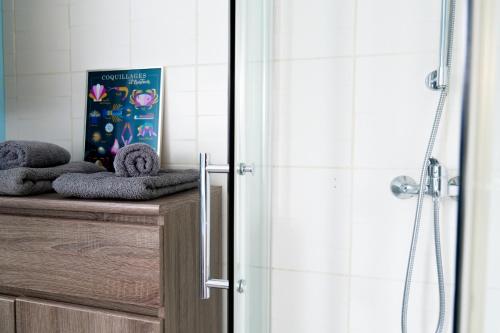 La salle de bains est pourvue d'une douche, d'un livre et de serviettes. dans l'établissement Appartement rez de chaussée au cœur de la Chaume 4 personnes Les Sables, à Les Sables-dʼOlonne
