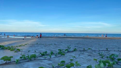 une plage avec beaucoup de gens sur la plage dans l'établissement Căn Hộ Ban Công Hướng Biển - FREE HỒ BƠI VÔ CỰC - The Sóng Vũng Tàu, à Vung Tau