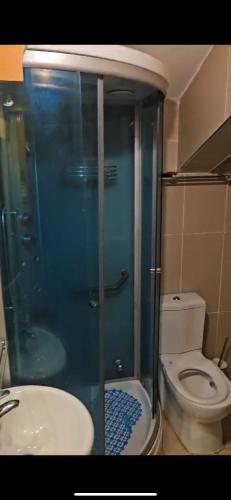 ein Bad mit einer Dusche, einem WC und einem Waschbecken in der Unterkunft Big Apartments in Kopaonik